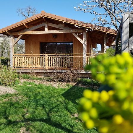 La Cabane Du Jardin Bongheat Exterior photo